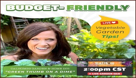 CaliKim29 Garden & Home DIY net worth, income and estimated earnings of Youtuber channel