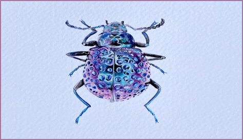 Cristina Villegas - CelebNetWorth